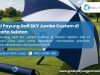 Jual Payung Golf SKY Jumbo Custom di Jakarta Selatan